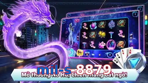 mil-s-8879